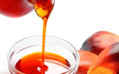 Découvrez le coin Casamance : une immersion gustative dans nos produits locaux uniques.